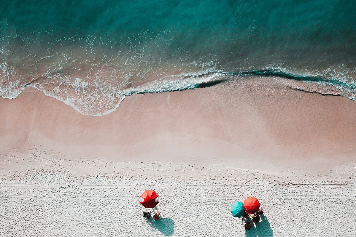 Ženu na plaži ugrizla divlja svinja