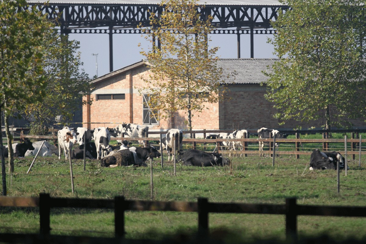 Milionski dugovi gurnuli "Farmland" u provaliju
