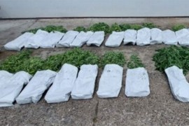 Akcija "Korov": Otkrivena droga vrijedna pola miliona maraka