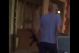 S puškom u ruci prošetao centrom Brčkog pa uhapšen
