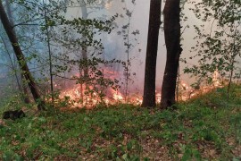 Traje borba s vatrom na Vrbanjskim brdima, u zoru pomaže Helikopterski ...