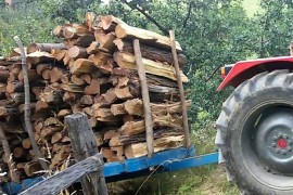 Dječaka usmrtila prikolica dok je otac izvlačio drva