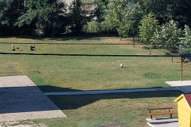 Psi lutalice okupirali igralište u Motikama, mještani u strahu za ...