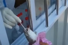 Testirali ribe na koronu (VIDEO)