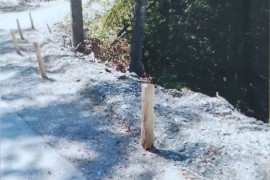 Mještani banjalučkog naselja kočevima štite učesnike u saobraćaju