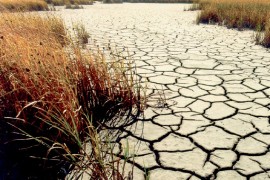 Evropa se suočava s najgorom sušom u 500 godina