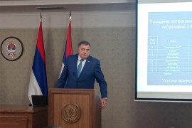 Dodik: Energetsku budućnost razvijati samostalno