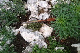 Detalji akcije u Nevesinju: Policija u zasjedi danima čekala vlasnika ...