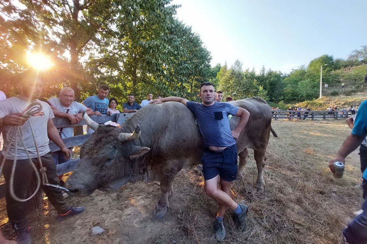 Bik Medonja pobjednik Grmečke koride