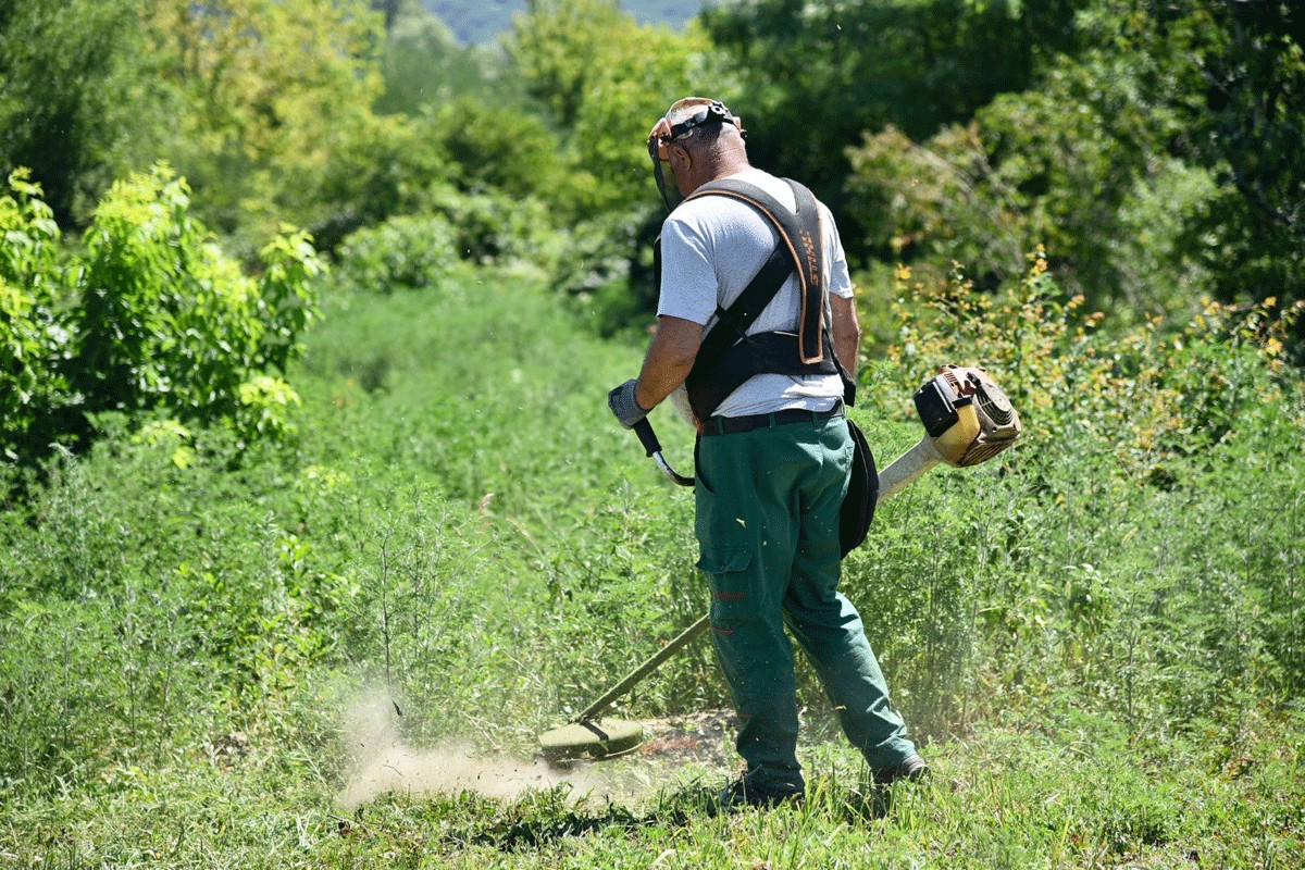 Amandmani ošišali budžet za zelene površine