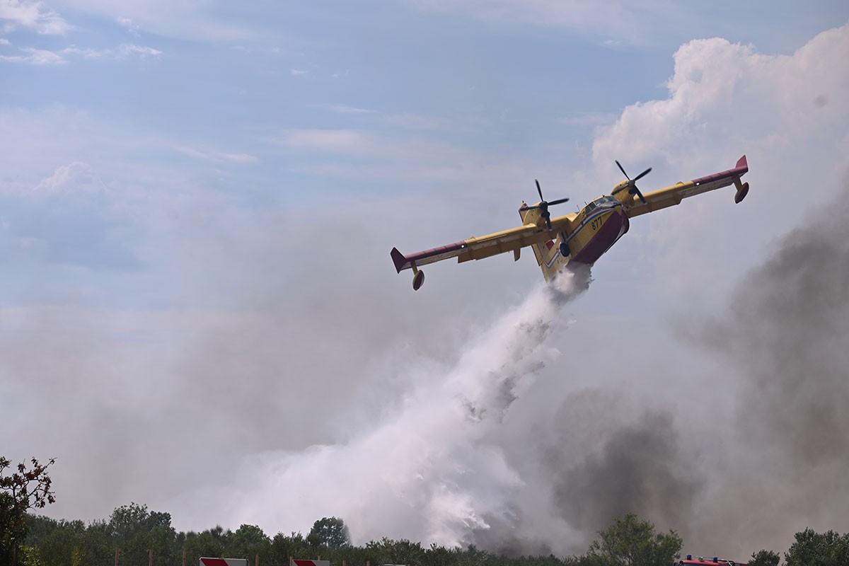 Kanader naletio na jato ptica pa prinudno sletio