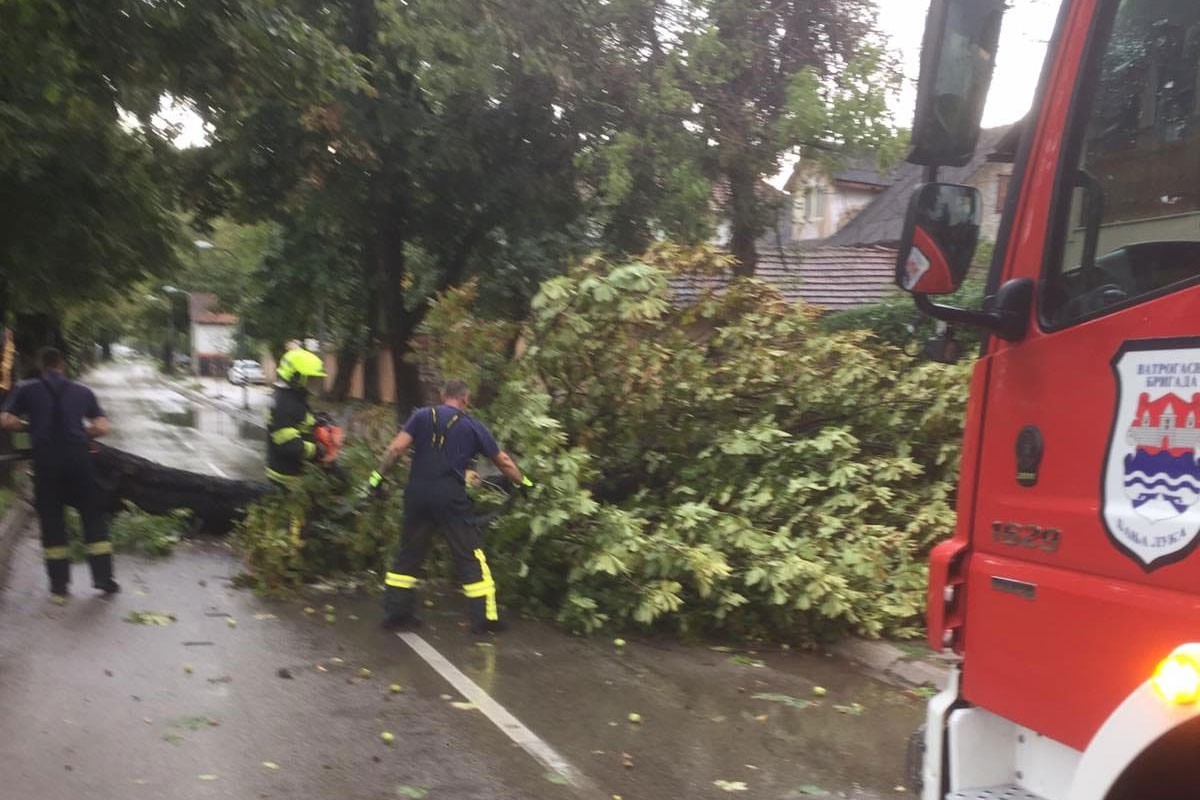 Vjetar obarao stabla u Banjaluci, pogledajte gdje su vatrogasci intervenisali