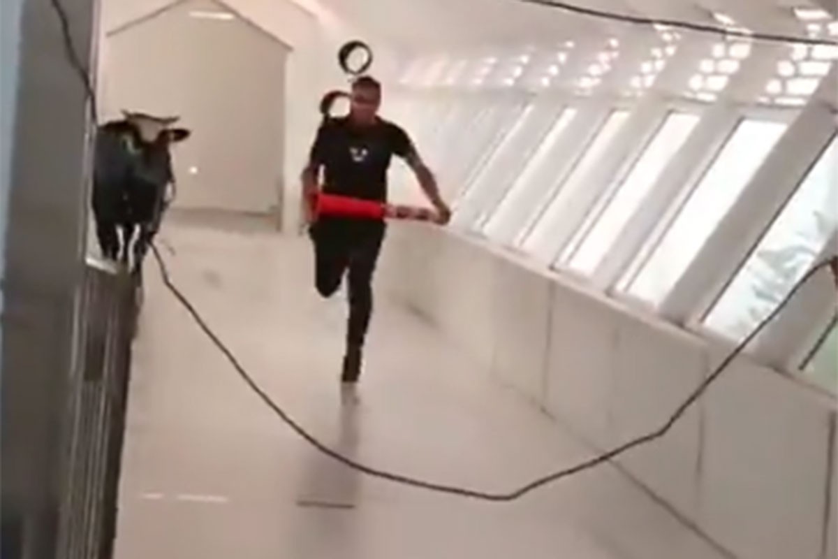 Bik ušao u banku, tjerali ga plastičnim čunjevima