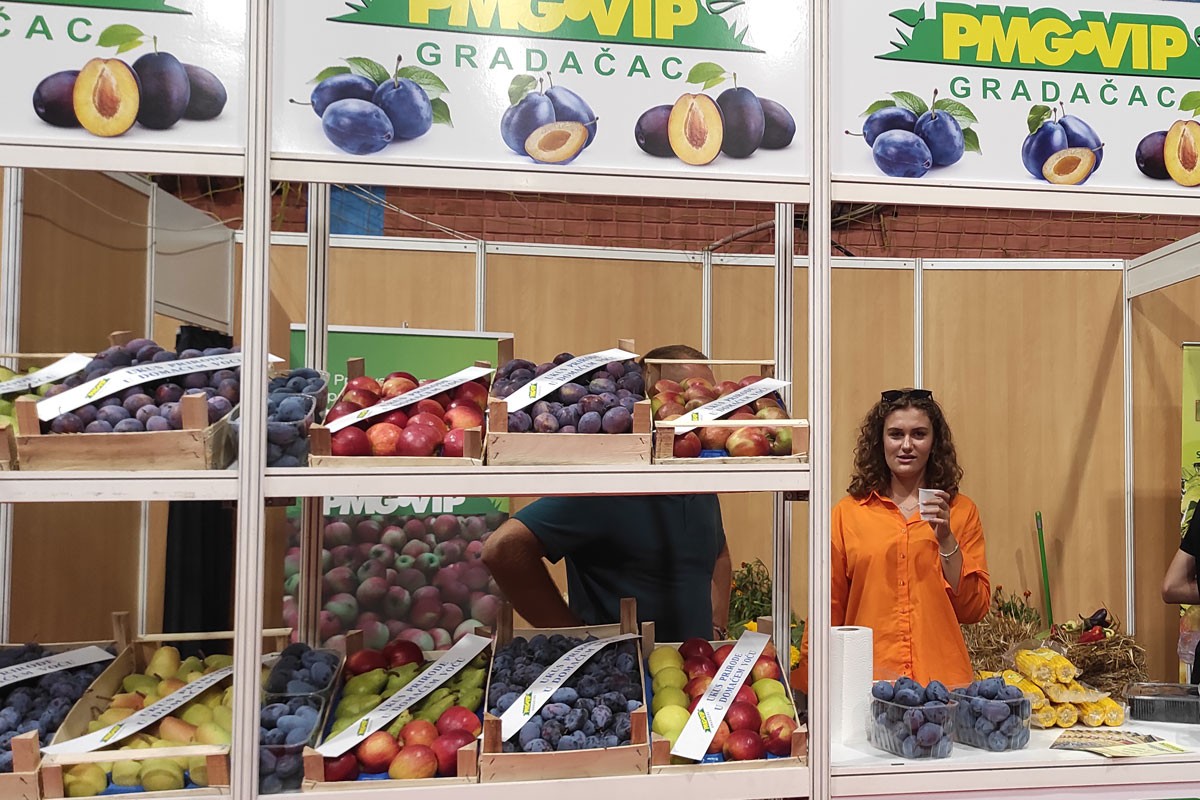 Šljiva okupila više od 300 proizvođača