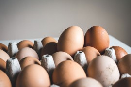 Šta znače brojevi i slova na jajima i koja su najkvalitetnija