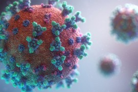 U Srbiji 3.221 novozaražen, preminulo 13