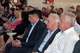 Šarović: Promovisaću pozitivan ekonomski program