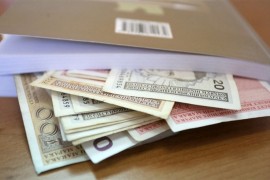 Ministarstvo poljoprivrede isplatilo 1,1 milion KM uzgajivačima svinja