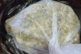 Zaplijenjeno više od 300 kilograma marihuane, uhapšene dvije osobe