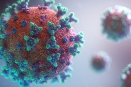 U Srbiji 2.882 novozaraženih, preminulo 9 osoba