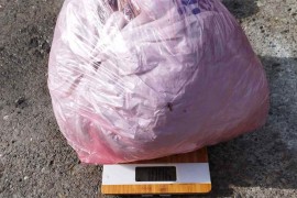 Pretresi na osam lokacija: Oduzeto više od kilogram skanka, uhapšena ...