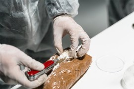 Predsjednik Kolumbije pozvao UN da legalizuju kokain
