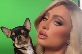 Paris Hilton izgubila psa