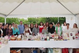 Organizovana humanitarna akcija "Dan za Anđelu"