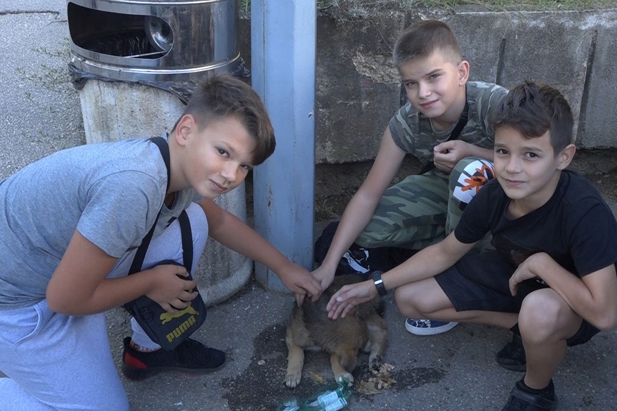 Dječaci spasili povrijeđeno štene i položili ispit humanosti