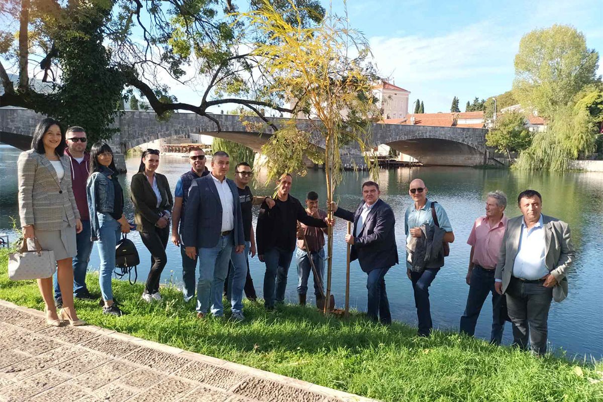 Sadnjom vrbe pored Trebišnjice završili kampanju