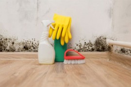 5 trikova koji će vam pomoći da se riješite vlage u kući