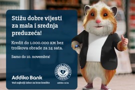 Kredit do 1.000.000 KM za mala i srednja preduzeća bez troškova ...
