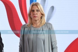 Cvijanović: CIK zaprima prijave sa protesta umjesto u zakonom ...