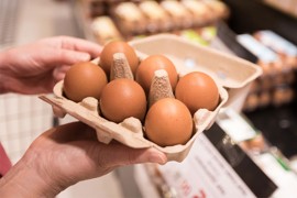 Kriza udara po jajima, proizvodnja nikad manja