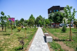 Velika akcija za zeleniju Banjaluku