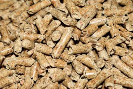 "Potrebno zabraniti izvoz peleta iz BiH do 31. marta naredne godine"