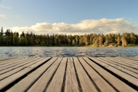 Tinejdžer umro zbog amebe koja jede mozak