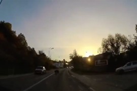 Neobična nezgoda: Divlja svinja istrčala na cestu i udarila u ...
