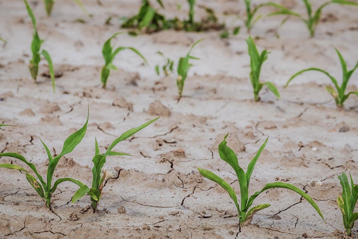 Zbog klimatskih promjena ljetnje suše 20 puta izvjesnije