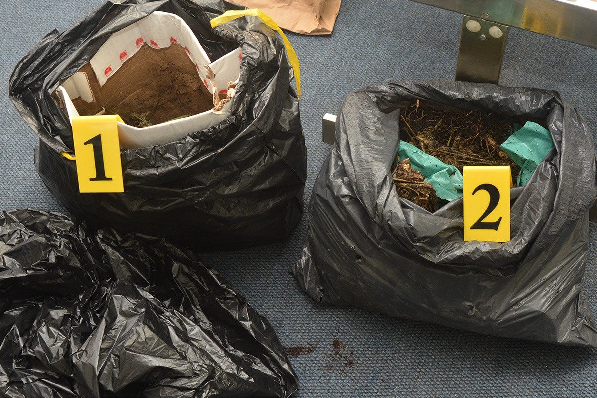 Detalji akcije "Lampa": Policija došla zbog požar, a pronašla 40,5 kilograma droge
