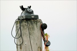 Vic dana: Drveni telefon