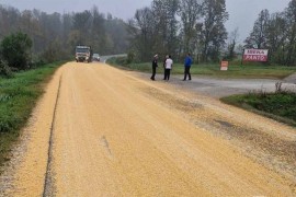 Kamion "posijao" kukuruz po putu