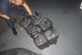 Kod učenika (14) pronađena droga vrijedna 112.000 dolara