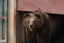 U Pionirskoj dolini i zoo vrtu počela zimska sezona