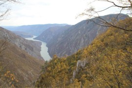 Obnavlja se lovište u koje su dolazili jugoslovenski funkcioneri