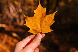 Evropa imala najtopliji oktobar ikada