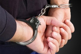 U nastavku velike akcije uhapšeno šest pedofila