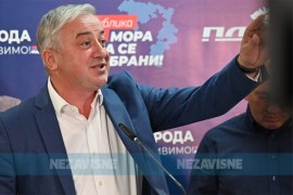 Borenović: PDP neće biti na konsultacijama