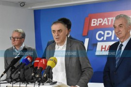 Miličević u subotu ulazi u  status v.d predsjednika SDS-a