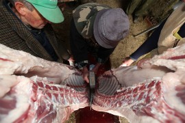 Poljoprivrednik poklanja svinju od 200 kg ugroženima